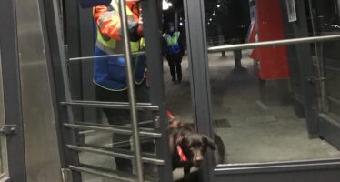 Training am Bahnhof am 06.02.2018