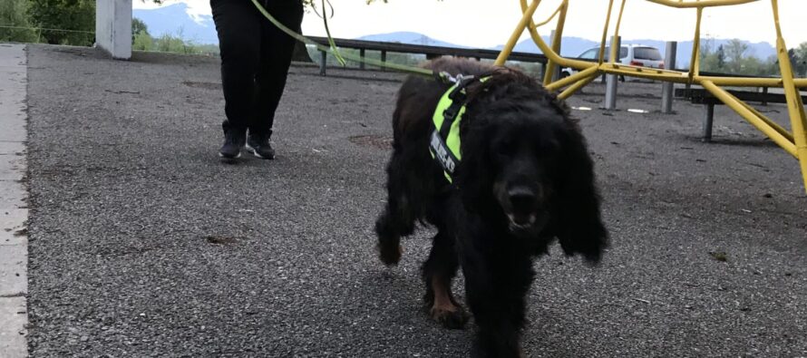 Update von den letzten Trainings