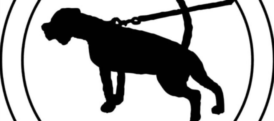 MTV-Trainingscamp, zwei tägig