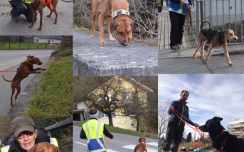 Gemeinsames Training der Einsatzgruppe und Einsatz-Vorbereitungsgruppe