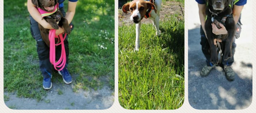 Endlich wieder Training ?