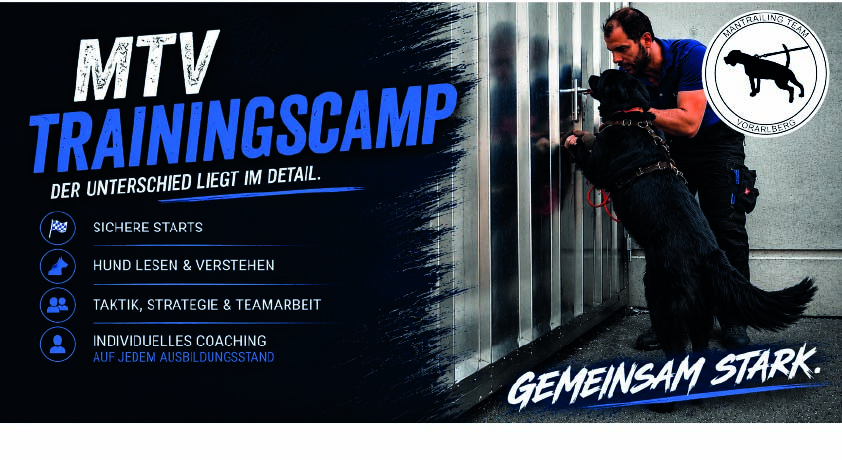 MTV -Trainingscamp September 2026
