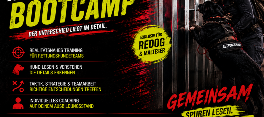 MTV-  Bootcamp für Rettungshundeführer 2026